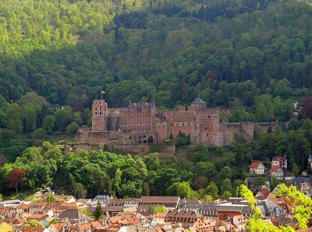 Wine Tasting at the Heidelberg Castle