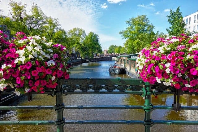 A bridge with flowers on it and water in the background.