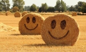 A couple of hay bales with faces drawn on them.