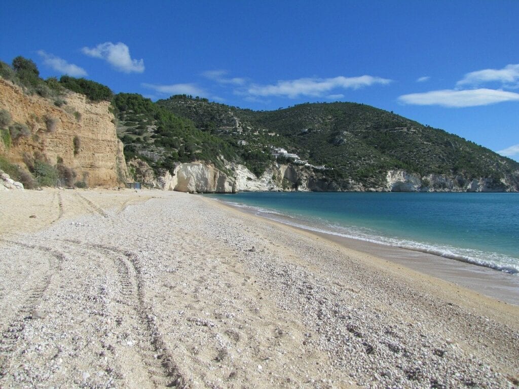 A sandy beach with trees and mountains in the background.